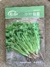 寿禾小叶香菜种子苗老品种四季盆栽菜籽 潍丰小叶香菜种子15g约2900粒 实拍图