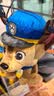 汪汪队立大功（PAW PATROL）毛绒玩具陪睡玩偶经典款阿奇中号坐姿公仔男女孩儿童生日礼物 实拍图
