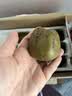 佳沛（zespri）新西兰金奇异果猕猴桃 5粒装 单果约88-103g 水果源头直发 实拍图