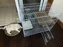 腆宠猫笼猫窝猫别墅猫咪笼子大号狗笼子猫笼子带厕所家用室内猫舍猫屋 实拍图