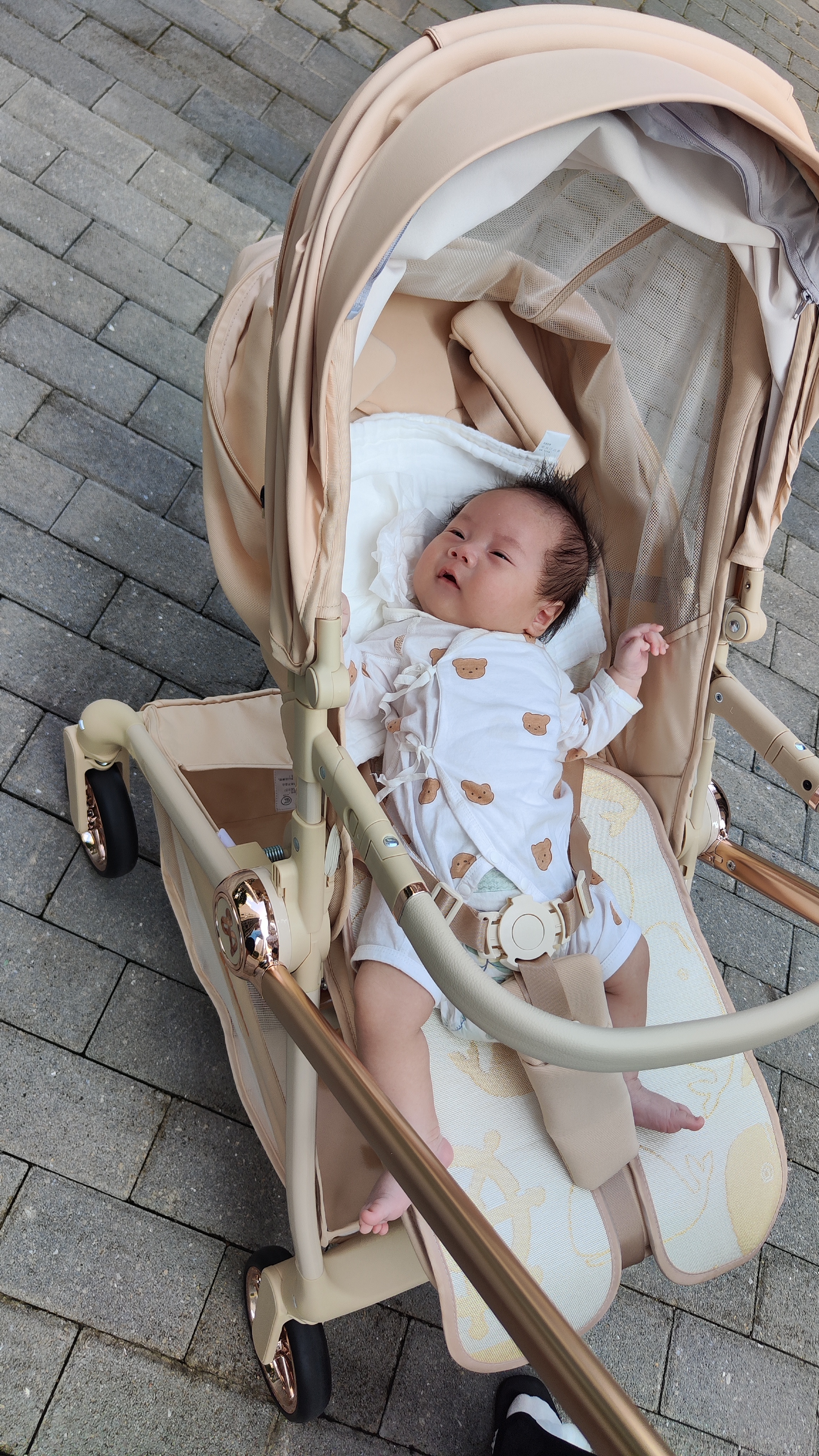 思漫特婴儿推车可坐可躺新生儿婴儿车轻便折叠双向高景观宝宝手推车 郁香金-睡篮版【云栖护脊+四轮智控双向】 实拍图