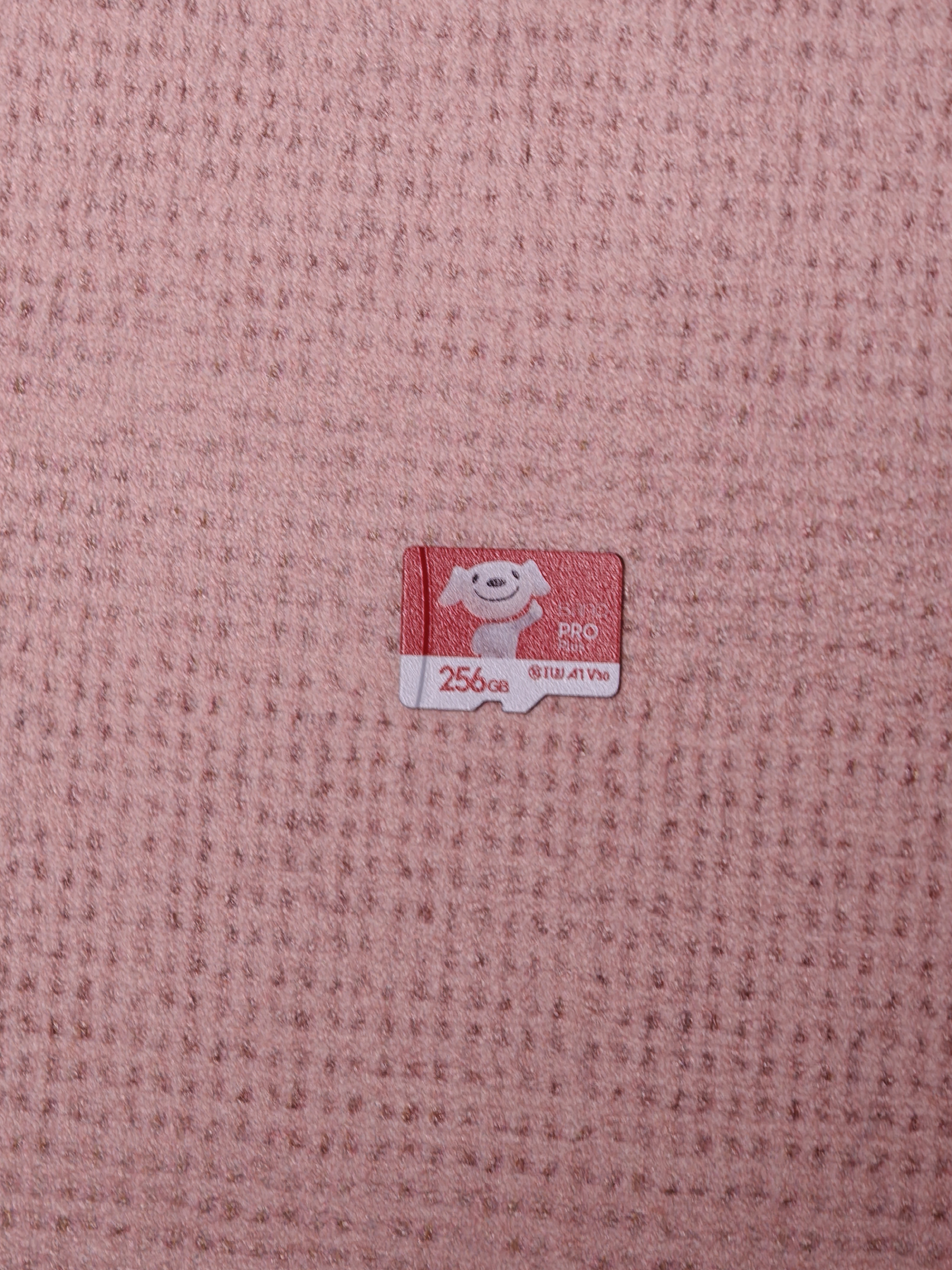 banq&JOY联名款Pro 256GB TF（MicroSD）存储卡U3 C10 A1 V30 4K 高速款行车记录仪&监控摄像头内存卡 实拍图