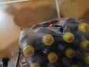 可口可乐（Coca-Cola）零度 无糖零卡 汽水 碳酸饮料 1.25Lx12瓶 实拍图