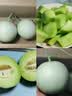 京鲜生 玉菇甜瓜 4粒装 单果重2-2.8斤 净重8.8斤起 生鲜水果中秋礼盒 实拍图