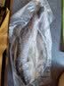 仙泉湖三去白蕉海鲈鱼400g/条净膛冷冻刺少肉厚特产海鲜水产生鲜食材 实拍图