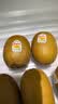 佳沛（zespri）新西兰金奇异果12粒特大果124-146g猕猴桃水果礼盒 实拍图
