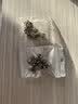 伊莉洛 免缝胸针防走光扣纽扣别针衣领衬衫暗扣装饰衣服扣子隐形纽扣 珍珠款【10颗】 实拍图