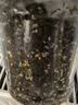 良品铺子高钙DHA藻油海苔拌饭碎280g儿童零食无添加芝麻紫菜碎宝宝拌饭 实拍图