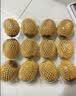 佳沛（zespri）新西兰金奇异果12粒特大果124-146g猕猴桃水果礼盒 实拍图