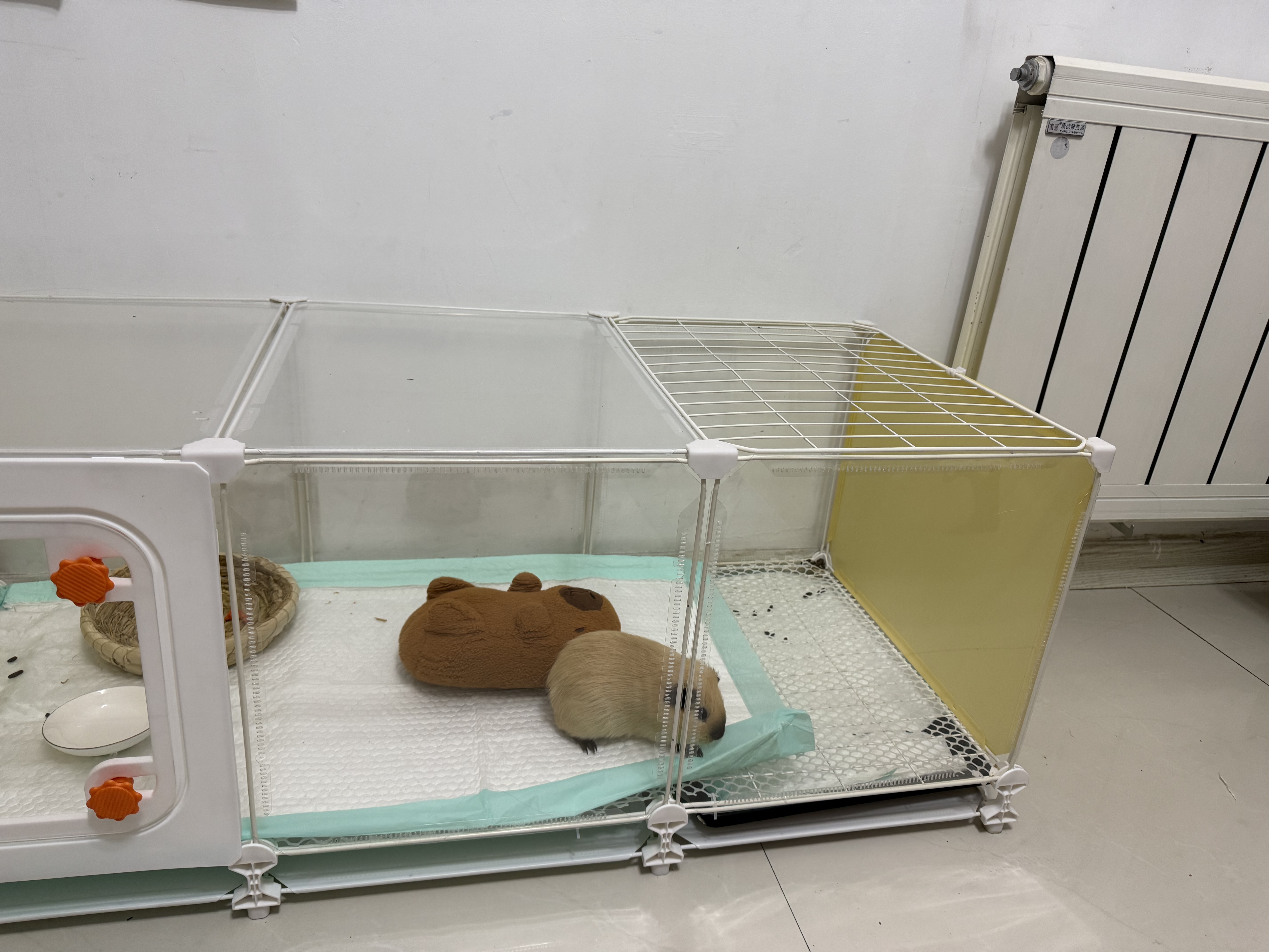 蔻丝全景兔笼子家用大空间带厕所荷兰猪豚鼠侏儒兔少越狱京东自营 实拍图