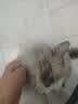 宜家依隔音耳塞睡眠超强级防噪音呼噜降噪睡觉静音不伤耳专业款10枚 实拍图