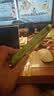摩米士（MOMAX）Airtag定位器平替tag防丢器苹果官方认证适用iphone18查找自行车钥匙扣行李箱宠物老人儿童防走丢 实拍图