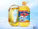 多力经典葵花籽油6.18L 一级压榨家用食用油 实拍图