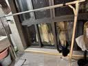 京佳宜晾衣架落地室内阳台晒衣架不锈钢折叠晒被架免安装伸缩2.4米 实拍图