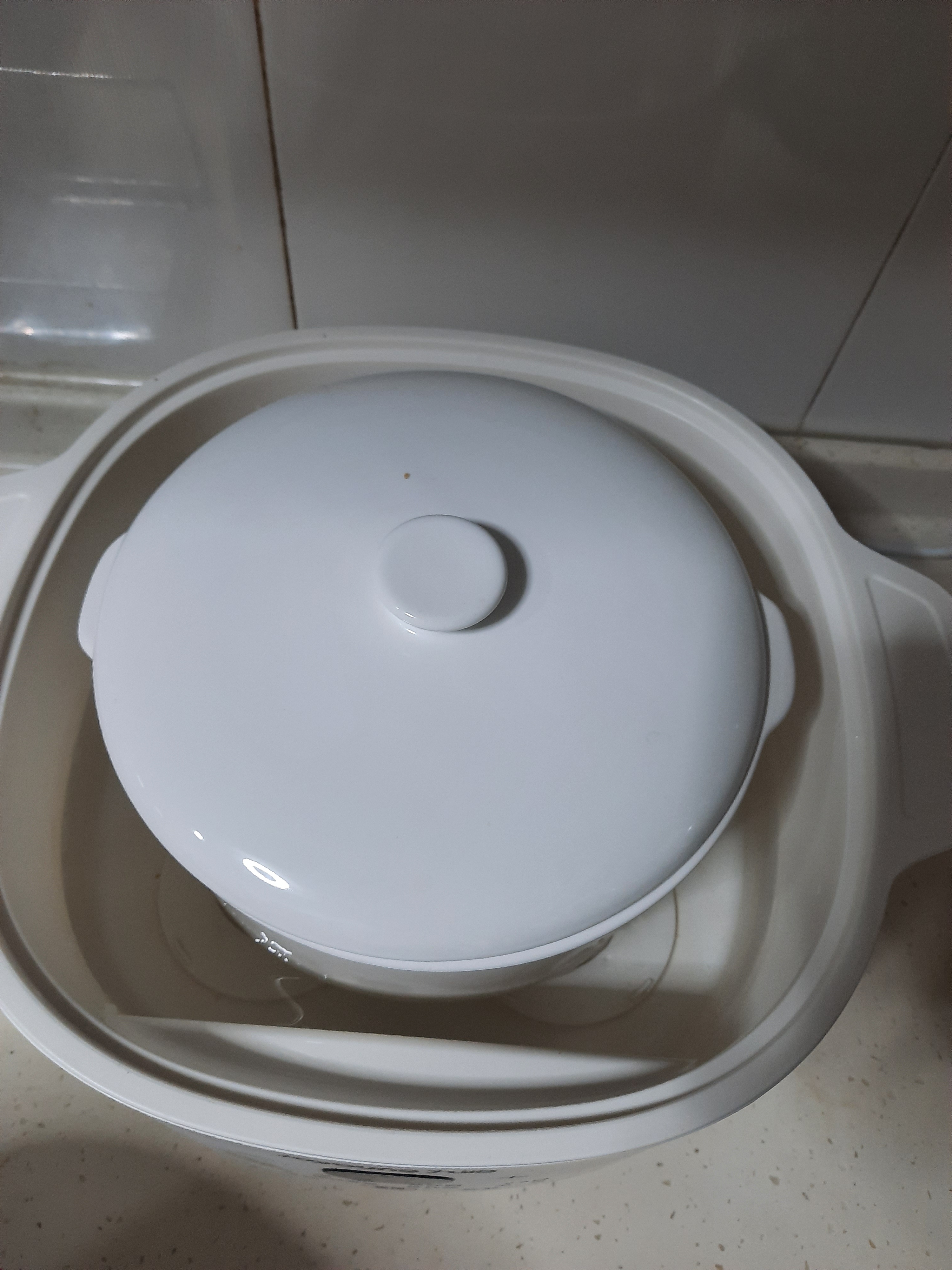 九阳（Joyoung）升级微压电炖盅 隔水炖电炖锅 4.5L 白瓷内胆上蒸下炖家用煲汤煮粥燕窝炖盅 DG25G-GD188 实拍图