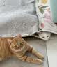 皇家猫粮 室内成猫粮 I27 通用粮 12月以上 10KG 实拍图