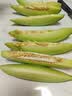 星星四门冰箱商用大容量双温冷藏冷冻厨房冰箱饭店后厨食堂保鲜柜不锈钢冰柜商用冰箱KCD-1271GT4 实拍图
