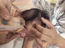 松下（Panasonic）【中秋礼品】婴儿理发器婴幼儿电推子儿童专用电动剃发器自动吸发可水洗家用轻音不伤头皮可剃胎毛 实拍图