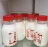 三元乐活高品质牛乳200mL*12瓶定期购 新老装交替发 实拍图