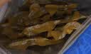 科尔沁手撕风干牛肉干 原味211g健身代餐肉干肉脯高蛋白解馋零食 实拍图