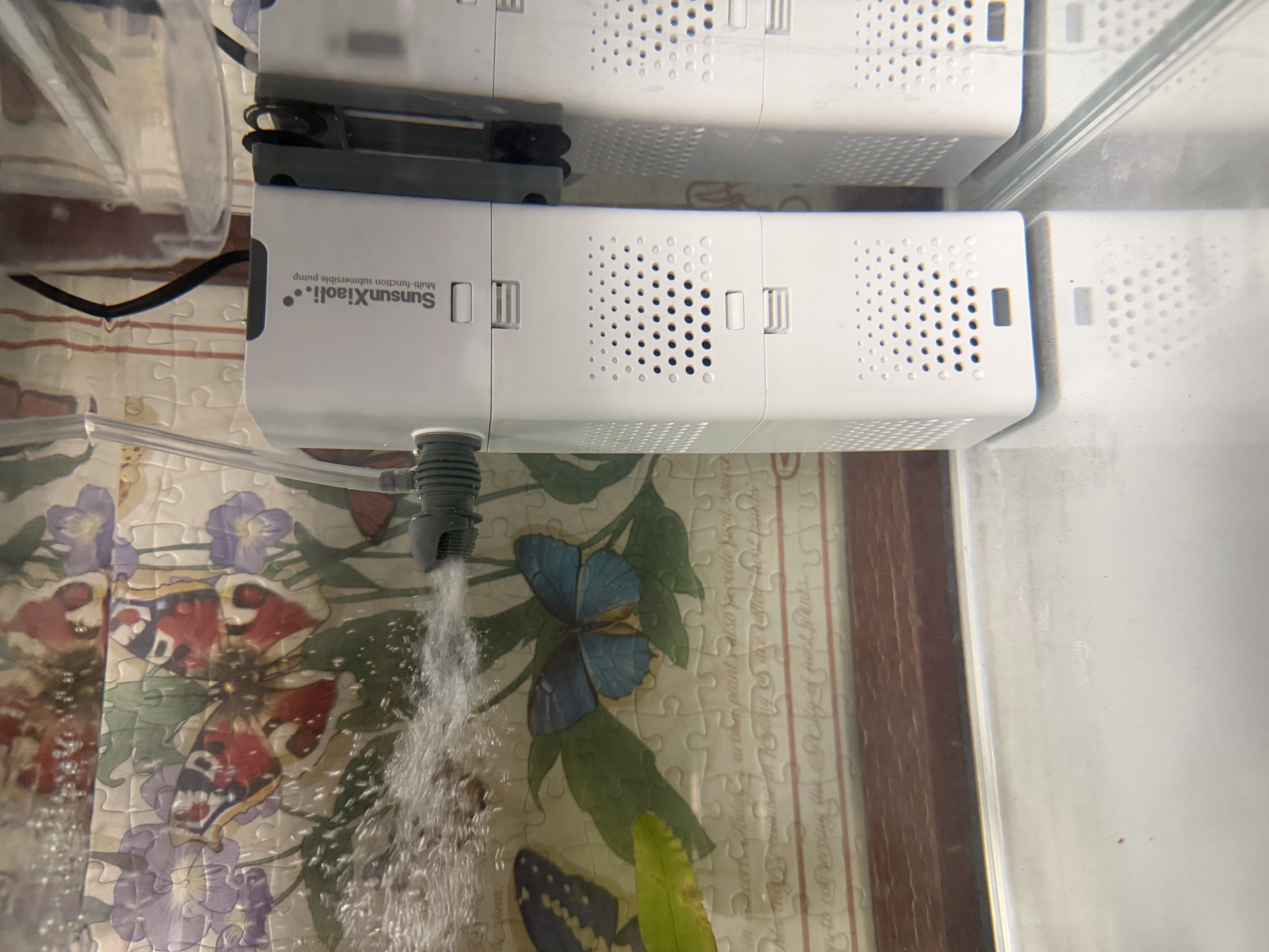 森森 小鲤鱼缸过滤增氧三合一净水循环内置水族箱过滤系统XQP-500F 6W 实拍图