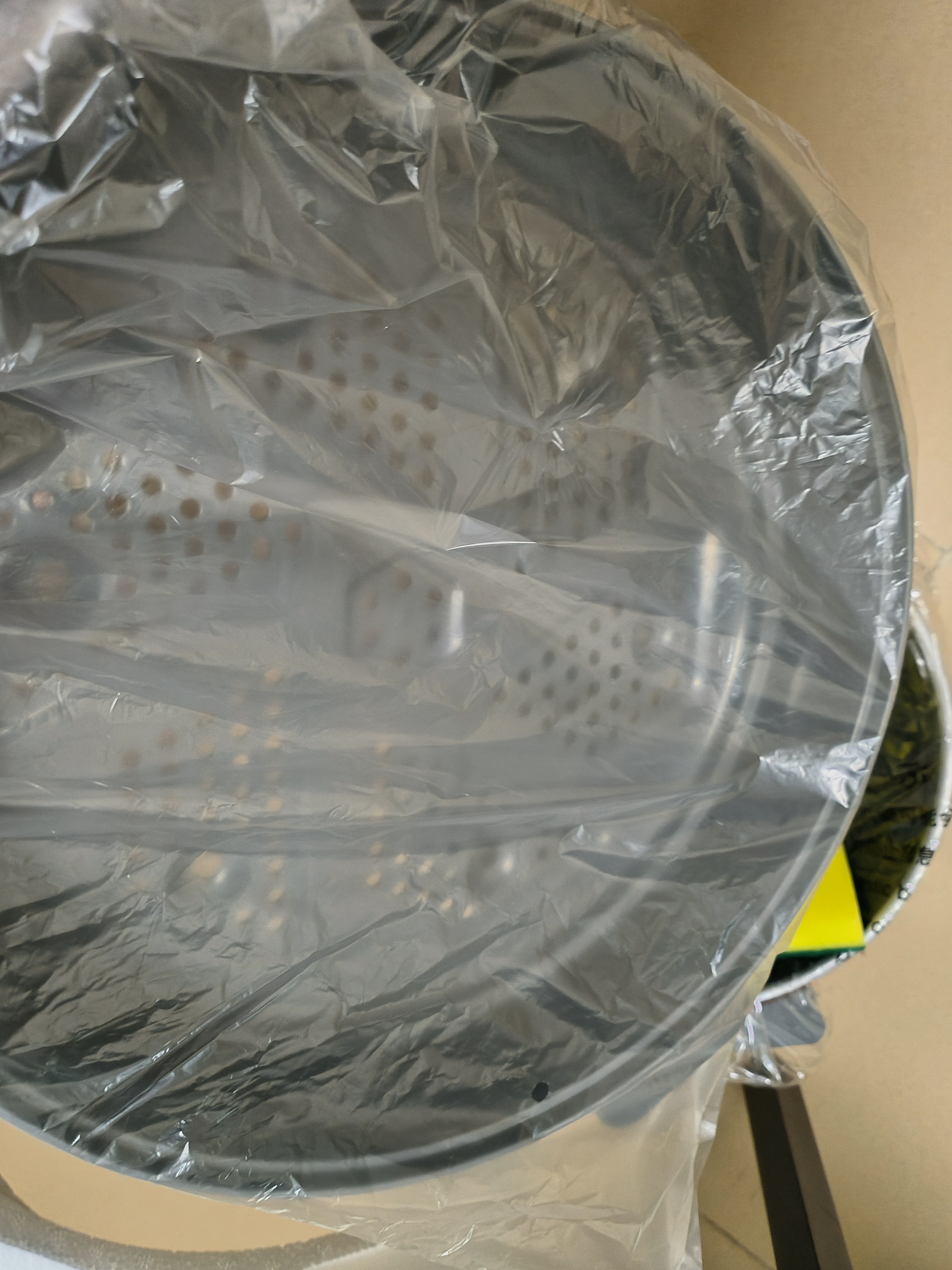 梅特德菲德国电炒锅多功能一体2026新款电锅炒蒸煮一体家用无涂层不粘锅宿舍出租屋炒菜专用大功率电炒锅 5.5L 高端系列【32CM直径2-8人】八件套 实拍图