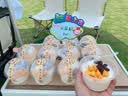 广禧优品双皮奶粉1kg姜汁撞奶红豆双皮奶0添加布丁奶茶烘焙原料奶香浓郁 实拍图