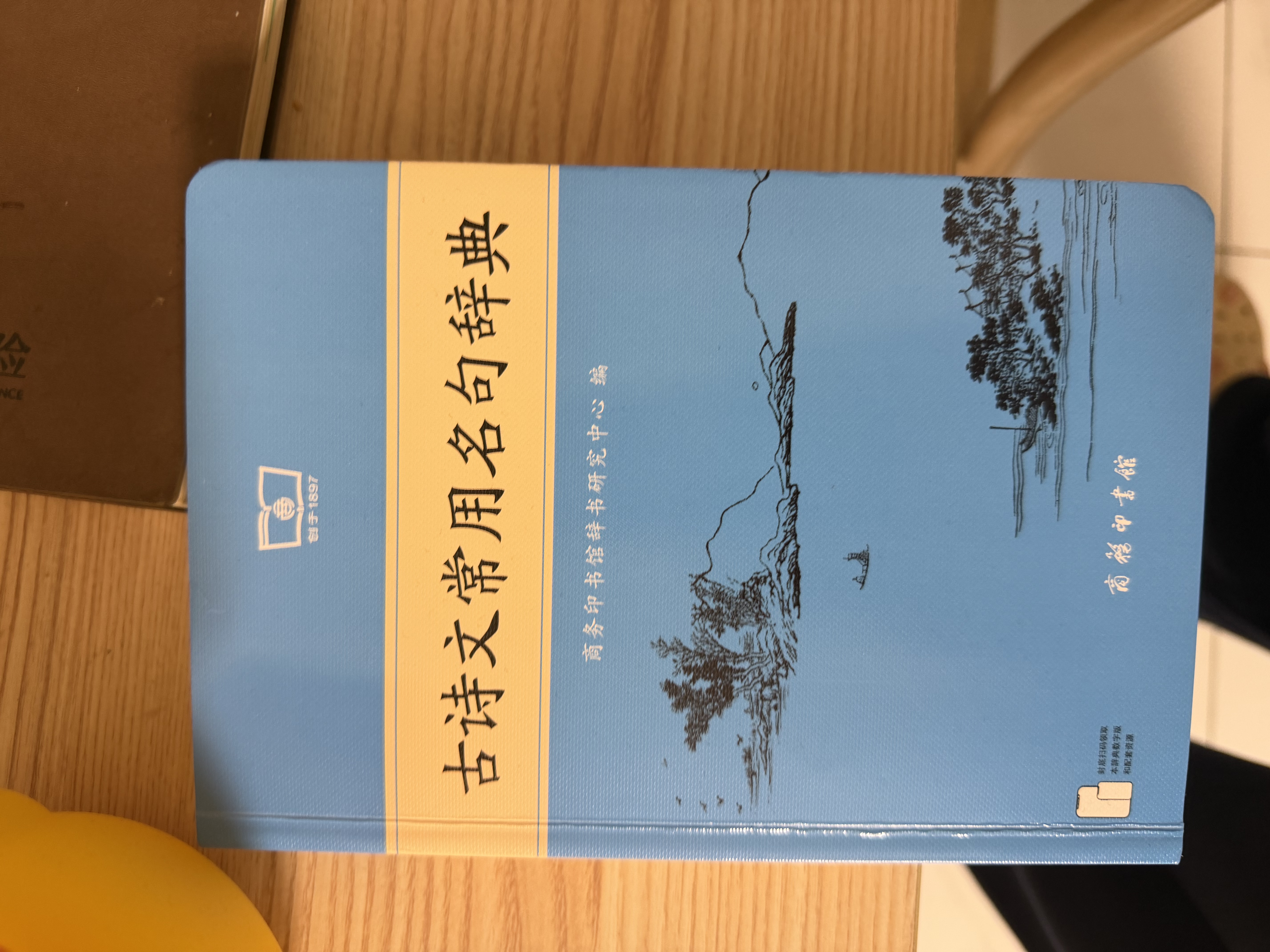 古诗文常用名句辞典商务印书馆可搭配古文常古代词典学习中小学生 实拍图