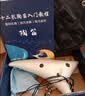 陶笛 12孔初学入门中音C调十二孔ac陶瓷笛六洋陶埙6学生专业空鸣演奏乐器 12孔AC【普及款】青花山水 实拍图