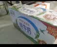伊利早餐奶麦香味 250ml*24盒 浓香麦片早餐伴侣 礼盒装 实拍图