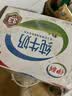 伊利全脂纯牛奶 250ml*18盒 每100ml含3.3g蛋白质 礼盒装 实拍图
