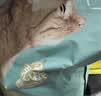 网易严选宠爱全价猫粮 实惠主粮成幼猫爱心三文鱼油美毛护胃海洋鱼2kg 实拍图