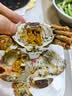 【活蟹】蟹宗现货鲜活大闸蟹全母2.8-3.1两10只生鲜螃蟹海鲜水产中秋节礼品源头直发 实拍图