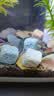 派乐特 细菌屋益菌屋鱼缸过滤材料水族箱养鱼净水培养硝化菌配件用品 实拍图