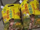 十月稻田 赤峰小米 1kg 内蒙古敖汉旗 黄小米杂粮 小米黄小米 中秋送礼 实拍图