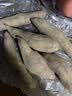佳农河南哈密白薯果100g+冰糖白心红薯净重4.5斤白哈密地瓜源头直发 实拍图