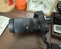 适马（SIGMA）16-300mm f3.5-6.7 DC OS ｜Contemporary 半画幅 远摄变焦镜头 旅游风光人像（RF卡口） 实拍图