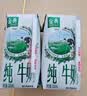 伊利【新鲜日期】金典纯牛奶200ml*24盒3.6g乳蛋白礼盒装 实拍图