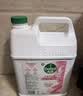滴露（Dettol）洗手液补充装大桶消毒滋润5L 儿童家庭装杀菌护手 实拍图