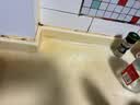 京东家政 【3小时保洁单次服务】家政保洁上门服务 京东保洁家庭清洁 适用面积＜90平米 实拍图