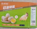 温氏供港富硒鲜鸡蛋30枚/3斤 谷物喂养 生鲜食材牛奶早餐搭档京东自营 实拍图