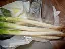 大葱约1kg 实拍图