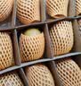 佳沛（zespri）新西兰金奇异果12粒特大果124-146g猕猴桃水果礼盒 实拍图