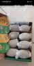 佳沛（zespri）新西兰金奇异果8粒特大果124-146g猕猴桃中秋节礼品送水果礼盒 实拍图