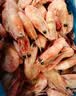 仁豪水产熟冻北极甜虾 净重1斤 60-85只/袋 即食冰虾 北极籽虾 国庆送礼品 实拍图