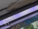 吉印刀锋s鱼缸灯led灯防水全光谱鱼缸照明灯水草灯小型专用鱼灯26cm 实拍图