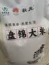 盘锦大米珍珠米大米20斤（东北大米 当季新米 真空装10kg） 实拍图