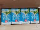 维他奶原味豆奶植物蛋白饮料250ml*16盒 营养早餐 礼盒装 实拍图