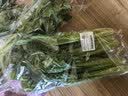 大芹菜约500g 实拍图