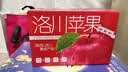 京地达陕西洛川苹果红富士苹果净重4.5斤单果175g+应季水果源头直发包邮 实拍图